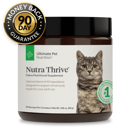 Nutra Thrive